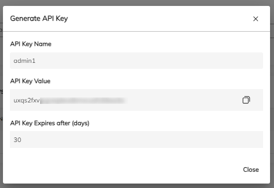 Copy Generated API Key
